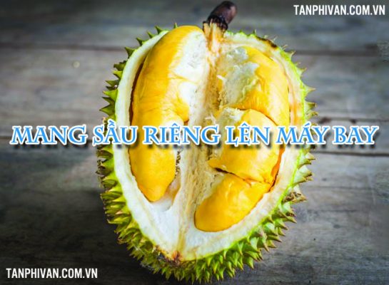 dua sau rieng len may bay