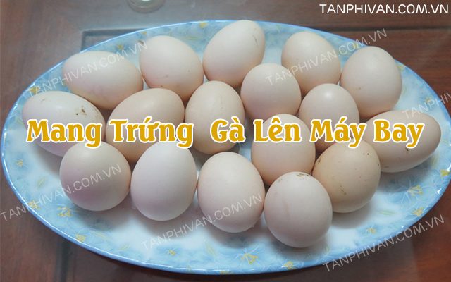 mang trứng gà lên máy bay có được không