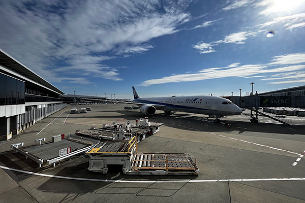 Máy bay hãng ANA tại sân bay Narita